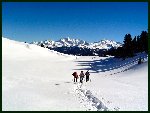 hautecourp1