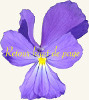 milieu20_5p