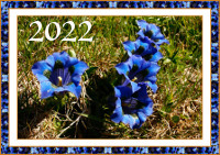annee_2022