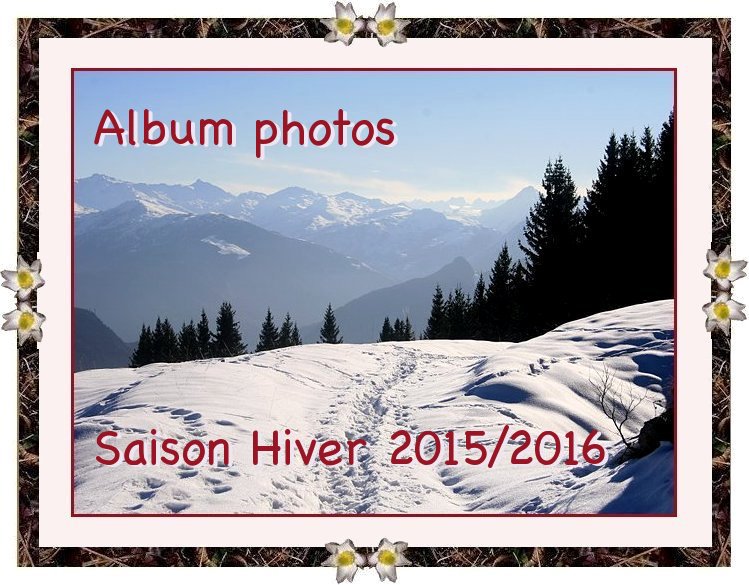 photosalbum_h16