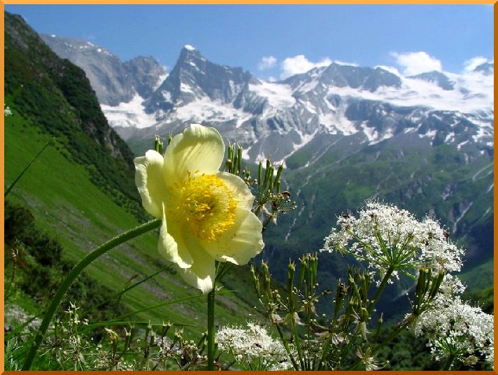 Une photo qui reste et qui restera . . . anemone51